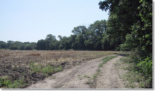 Along the West Branch of The Whitwater River, Butler county.